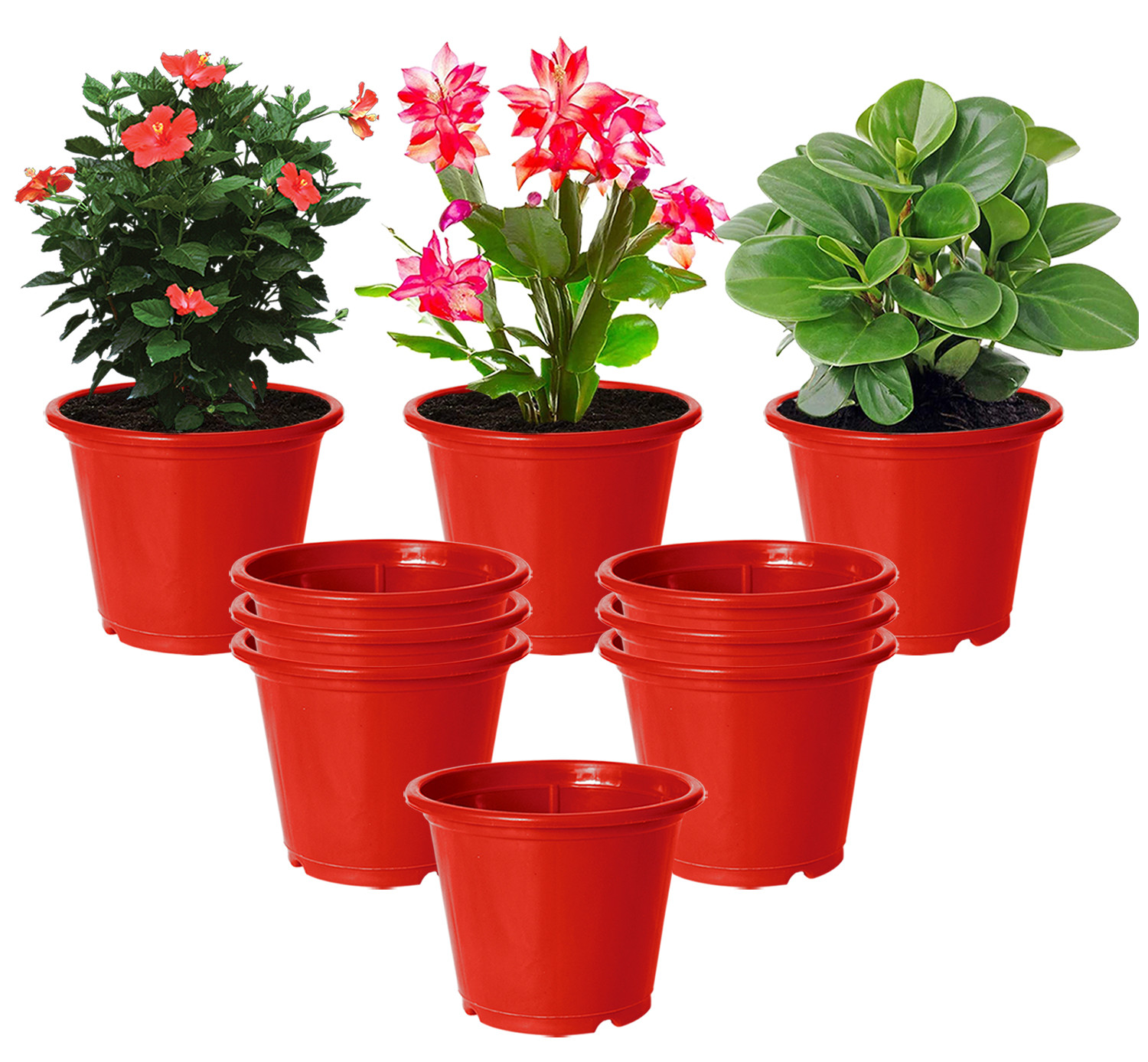 Kuber Industries Plastic Planters|Gamla|Flower Pots for Garden Nursery Home Décor,8