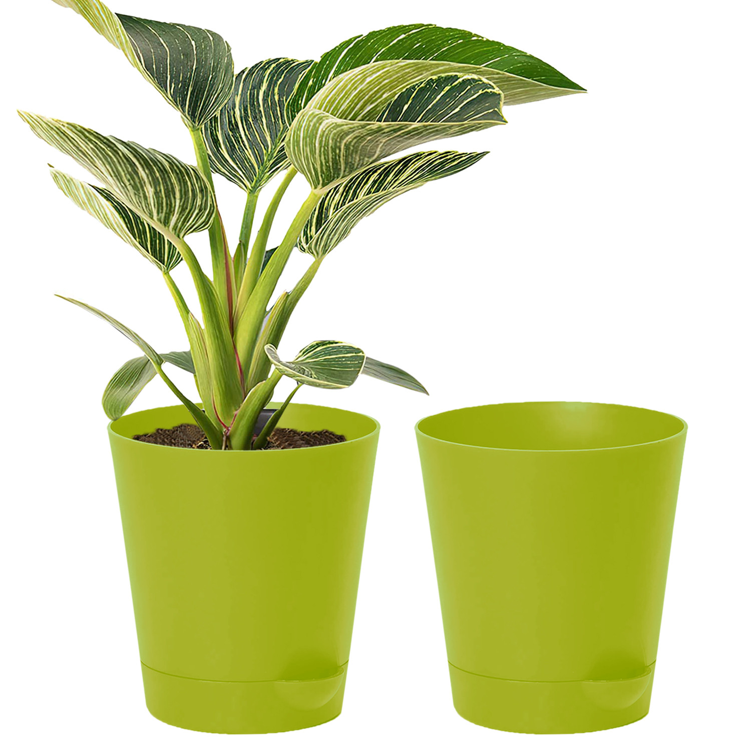 Kuber Industries Plastic Titan Pot|Garden Container For Plants & Flowers|Self-Watering Pot With Drainage Holes,6 Inch (Green)