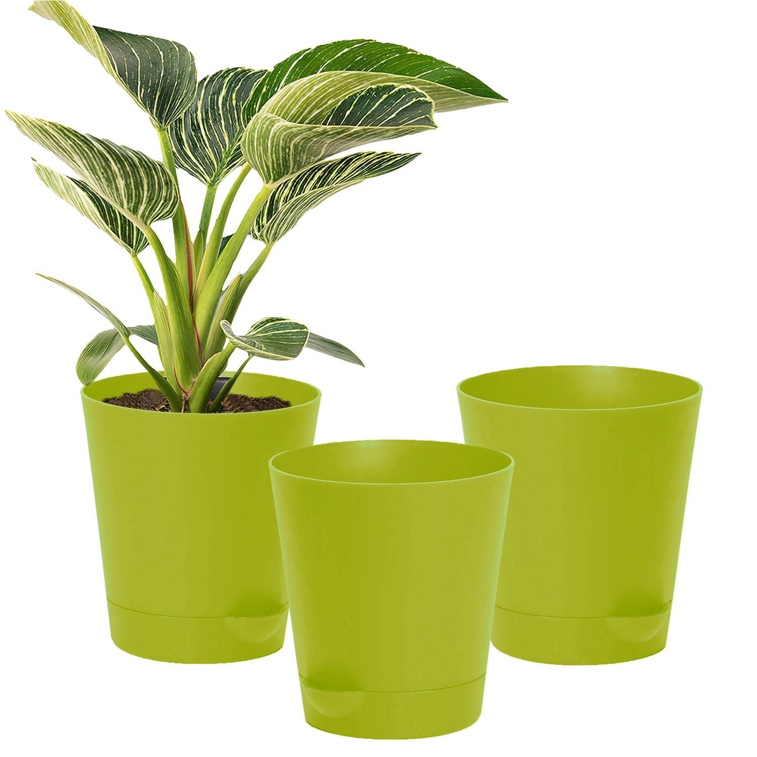 Kuber Industries Plastic Titan Pot|Garden Container For Plants & Flowers|Self-Watering Pot With Drainage Holes,6 Inch (Green)