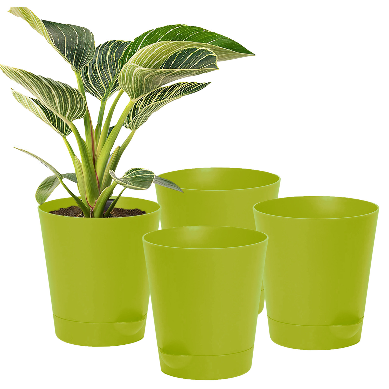 Kuber Industries Plastic Titan Pot|Garden Container For Plants & Flowers|Self-Watering Pot With Drainage Holes,6 Inch (Green)