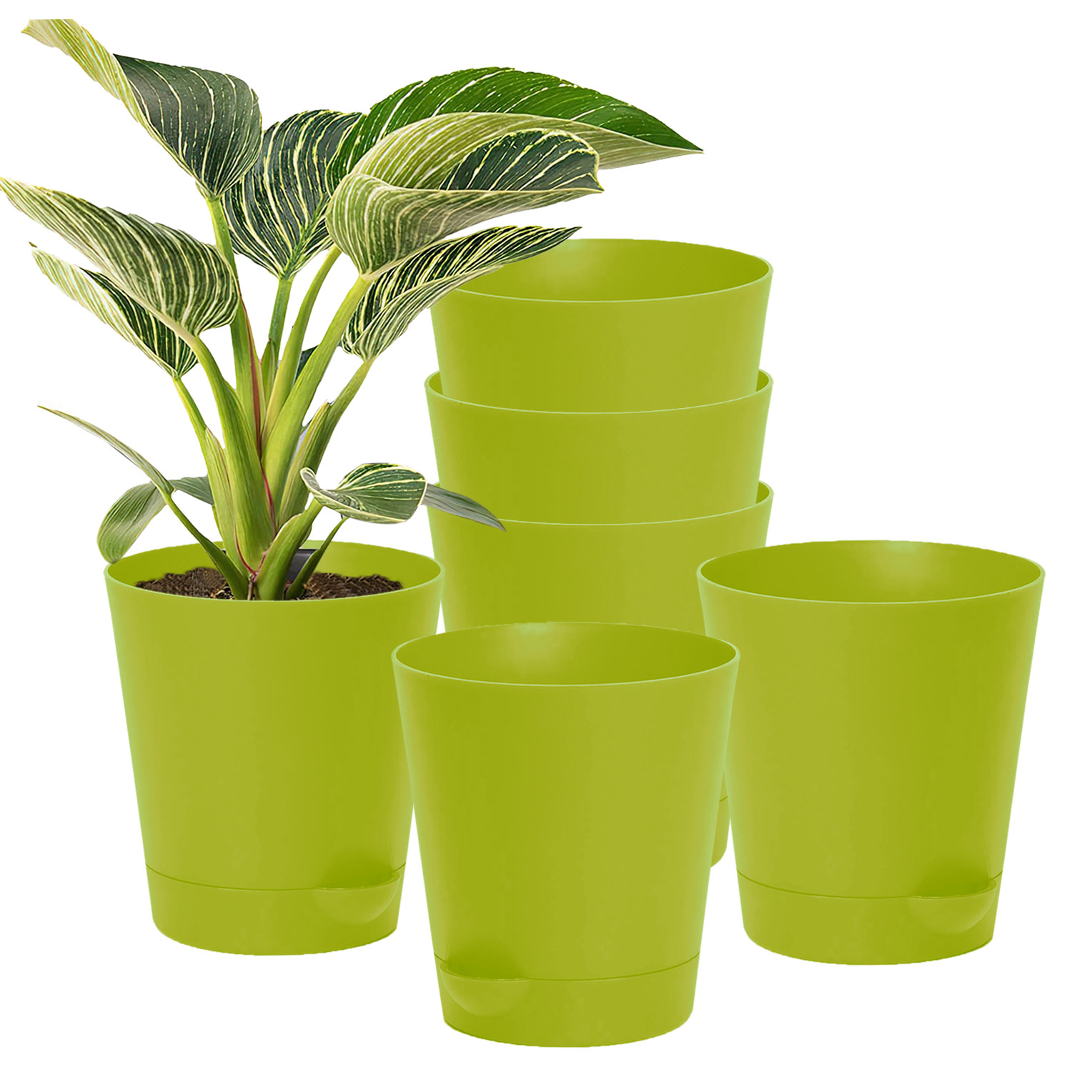 Kuber Industries Plastic Titan Pot|Garden Container For Plants & Flowers|Self-Watering Pot With Drainage Holes,6 Inch (Green)