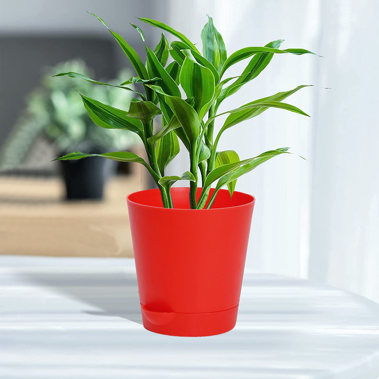 Kuber Industries Plastic Titan Pot|Garden Container For Plants & Flowers|Self-Watering Pot With Drainage Holes,6 Inch (Red)