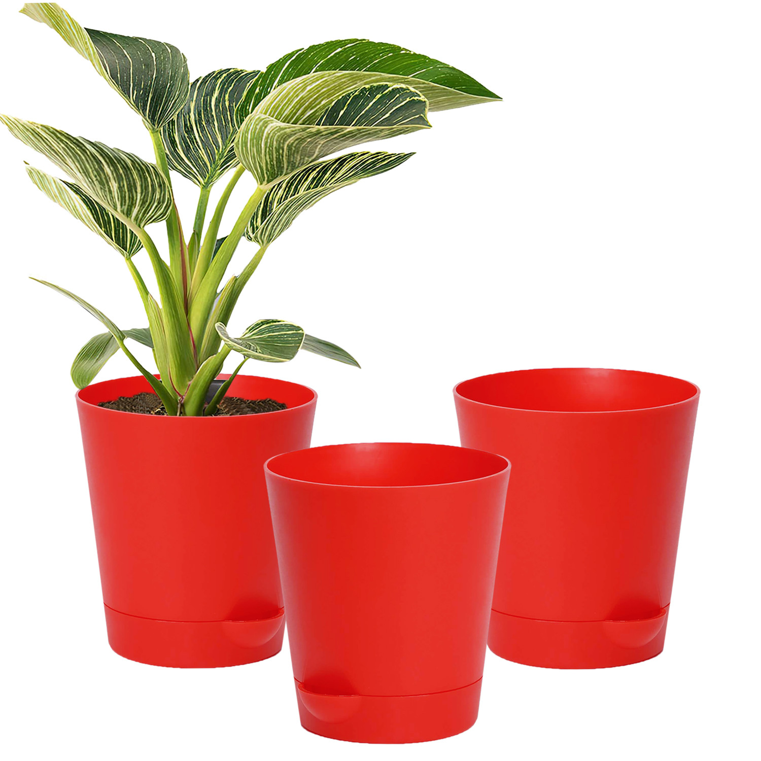 Kuber Industries Plastic Titan Pot|Garden Container For Plants & Flowers|Self-Watering Pot With Drainage Holes,6 Inch (Red)