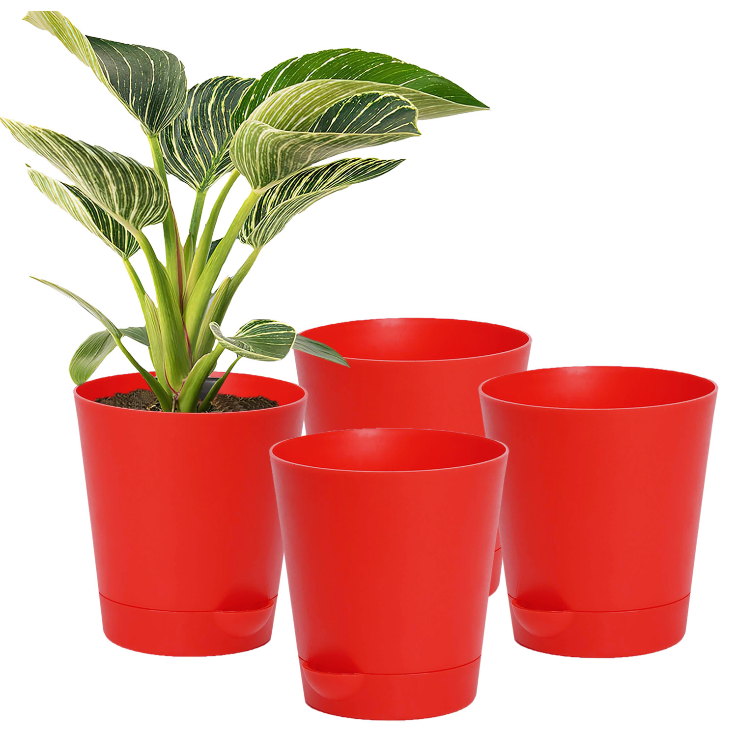 Kuber Industries Plastic Titan Pot|Garden Container For Plants & Flowers|Self-Watering Pot With Drainage Holes,6 Inch (Red)