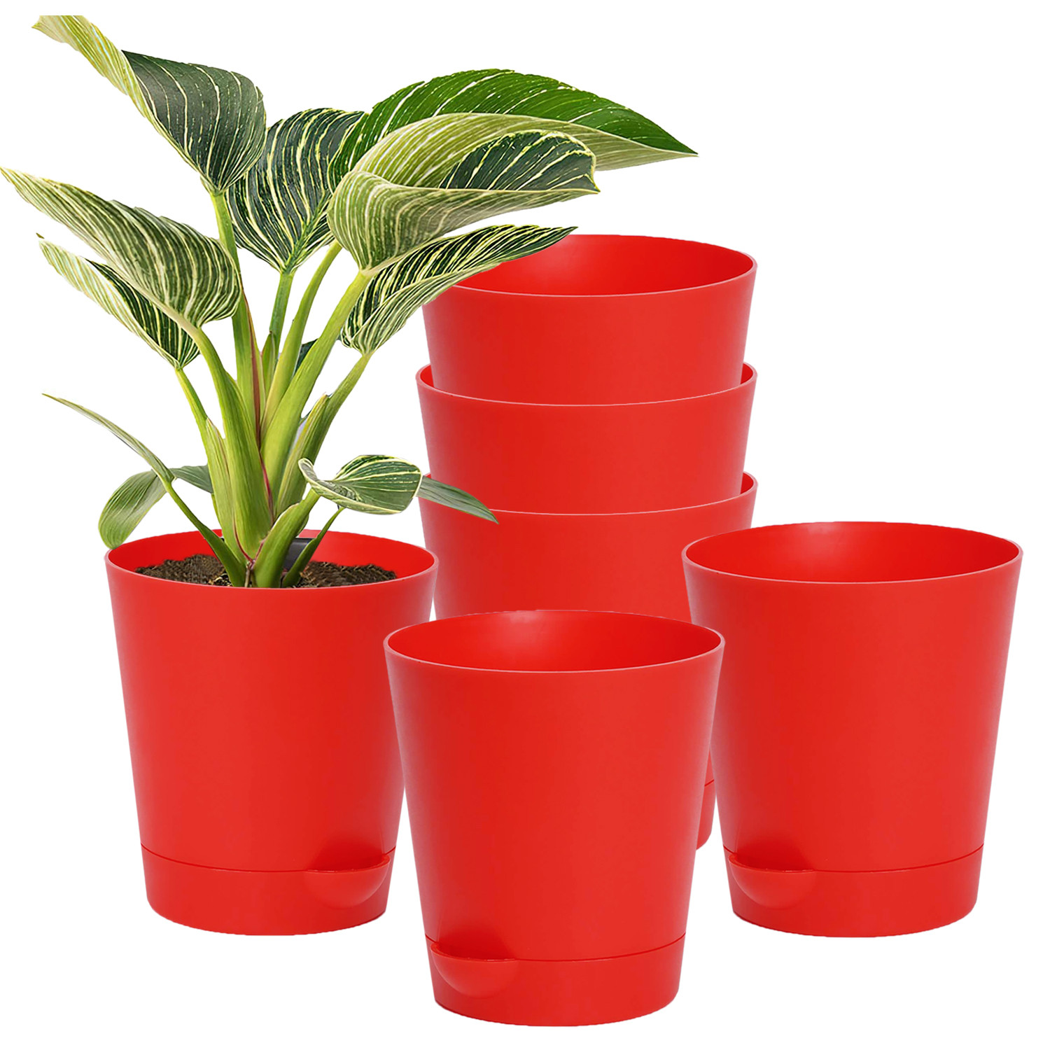 Kuber Industries Plastic Titan Pot|Garden Container For Plants & Flowers|Self-Watering Pot With Drainage Holes,6 Inch (Red)