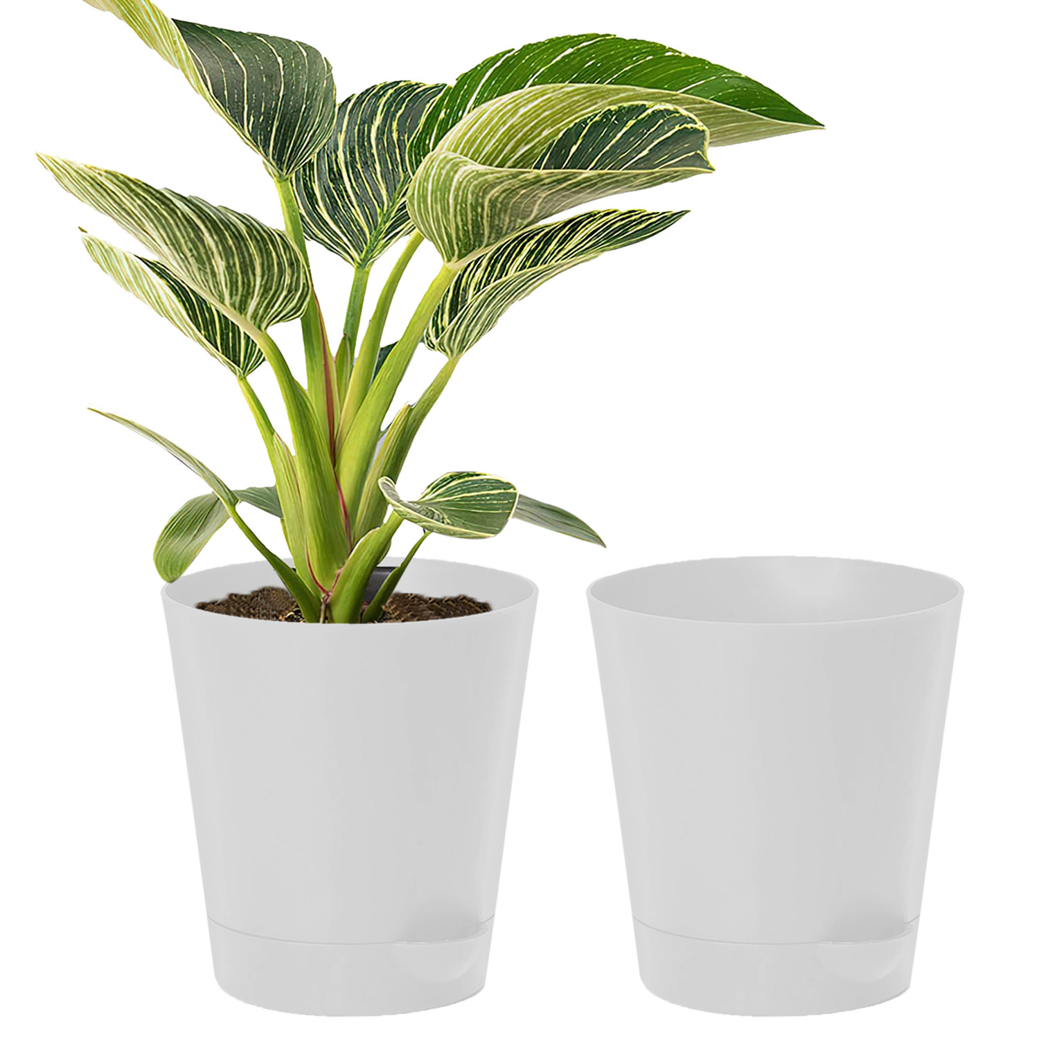 Kuber Industries Plastic Titan Pot|Garden Container For Plants & Flowers|Self-Watering Pot With Drainage Holes,6 Inch (White)