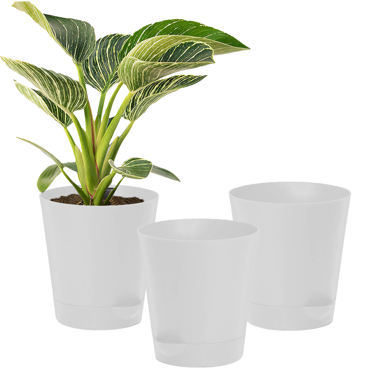 Kuber Industries Plastic Titan Pot|Garden Container For Plants & Flowers|Self-Watering Pot With Drainage Holes,6 Inch (White)