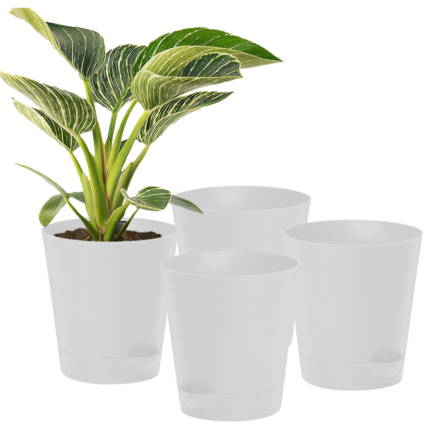 Kuber Industries Plastic Titan Pot|Garden Container For Plants & Flowers|Self-Watering Pot With Drainage Holes,6 Inch (White)