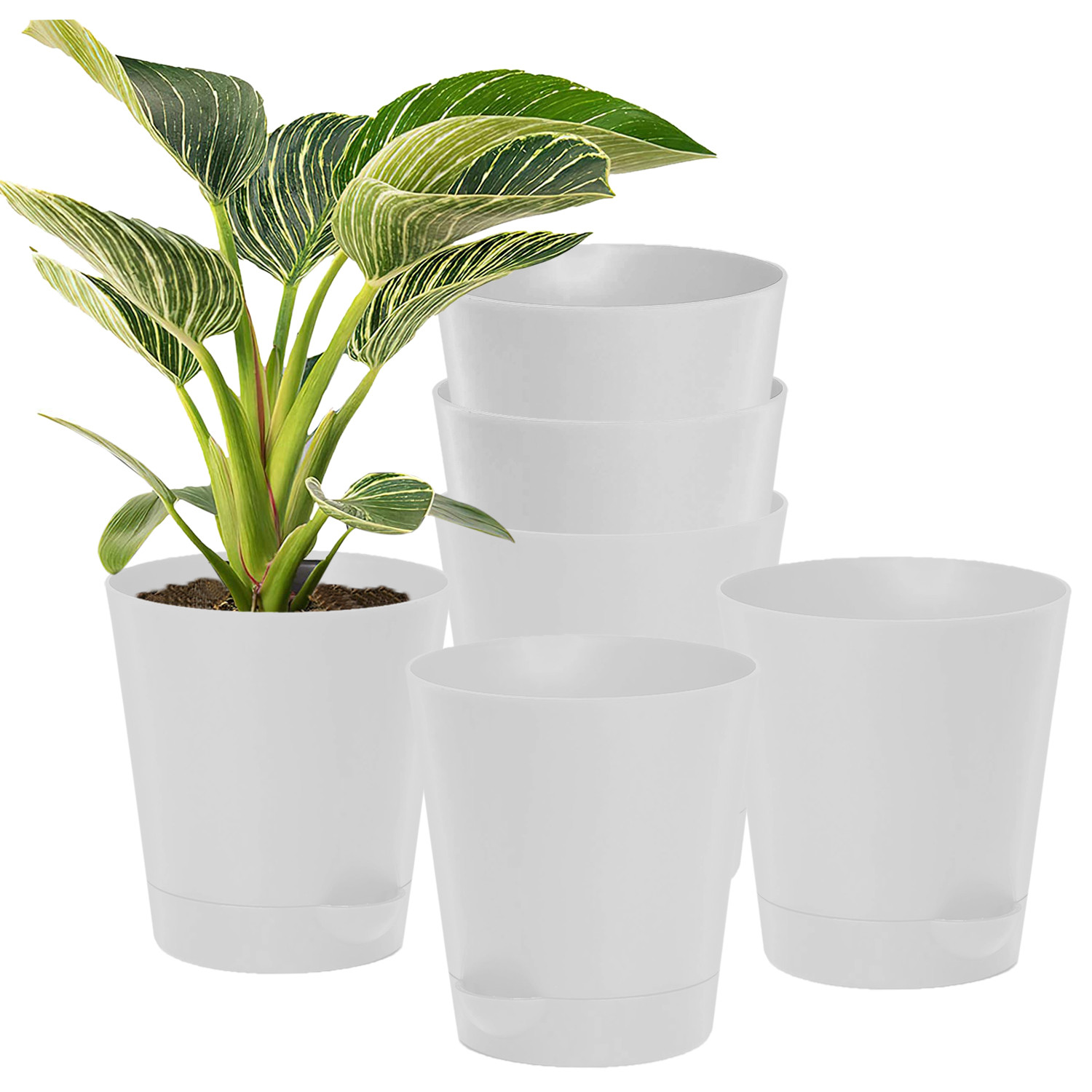 Kuber Industries Plastic Titan Pot|Garden Container For Plants & Flowers|Self-Watering Pot With Drainage Holes,6 Inch (White)