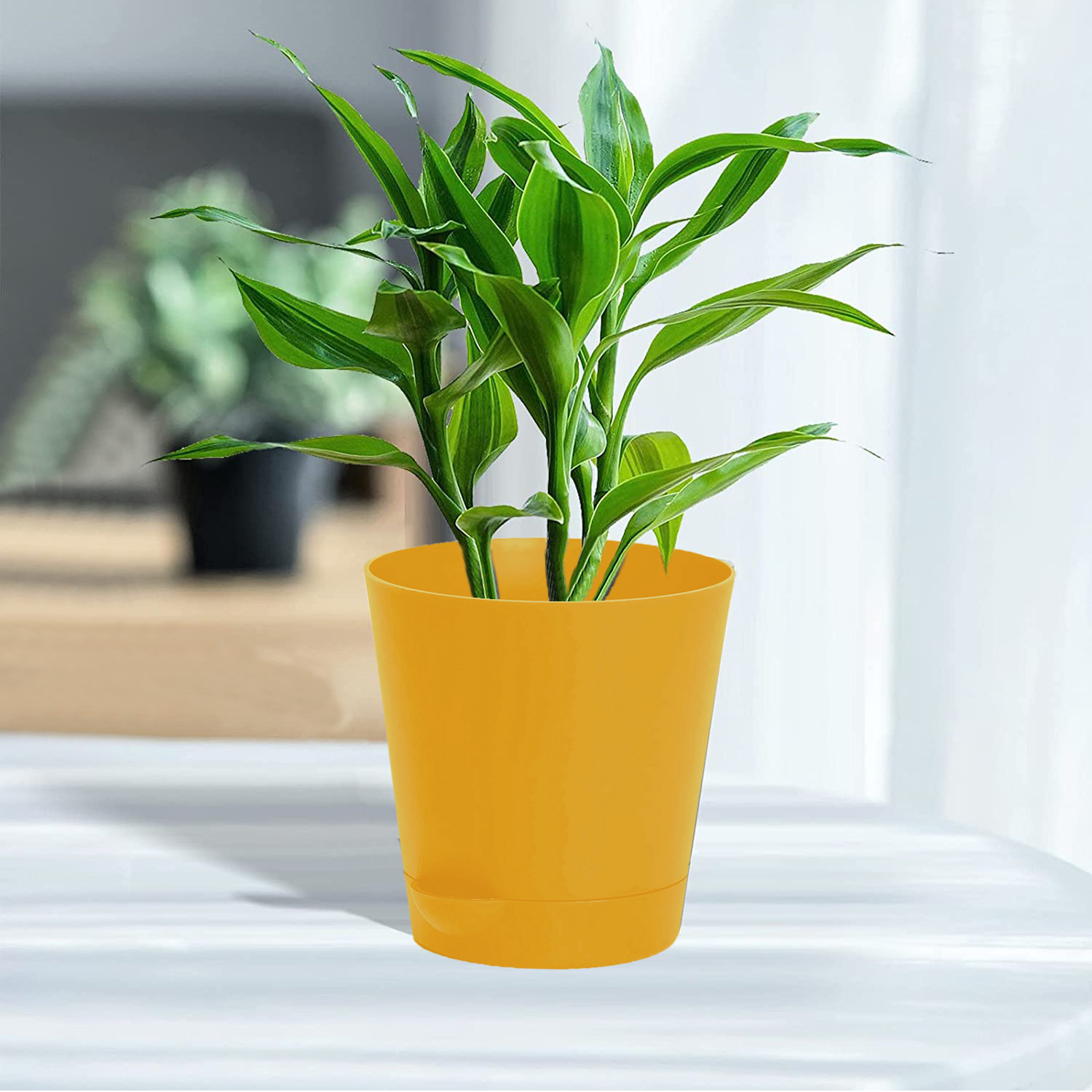 Kuber Industries Plastic Titan Pot|Garden Container For Plants & Flowers|Self-Watering Pot With Drainage Holes,6 Inch (Yellow)