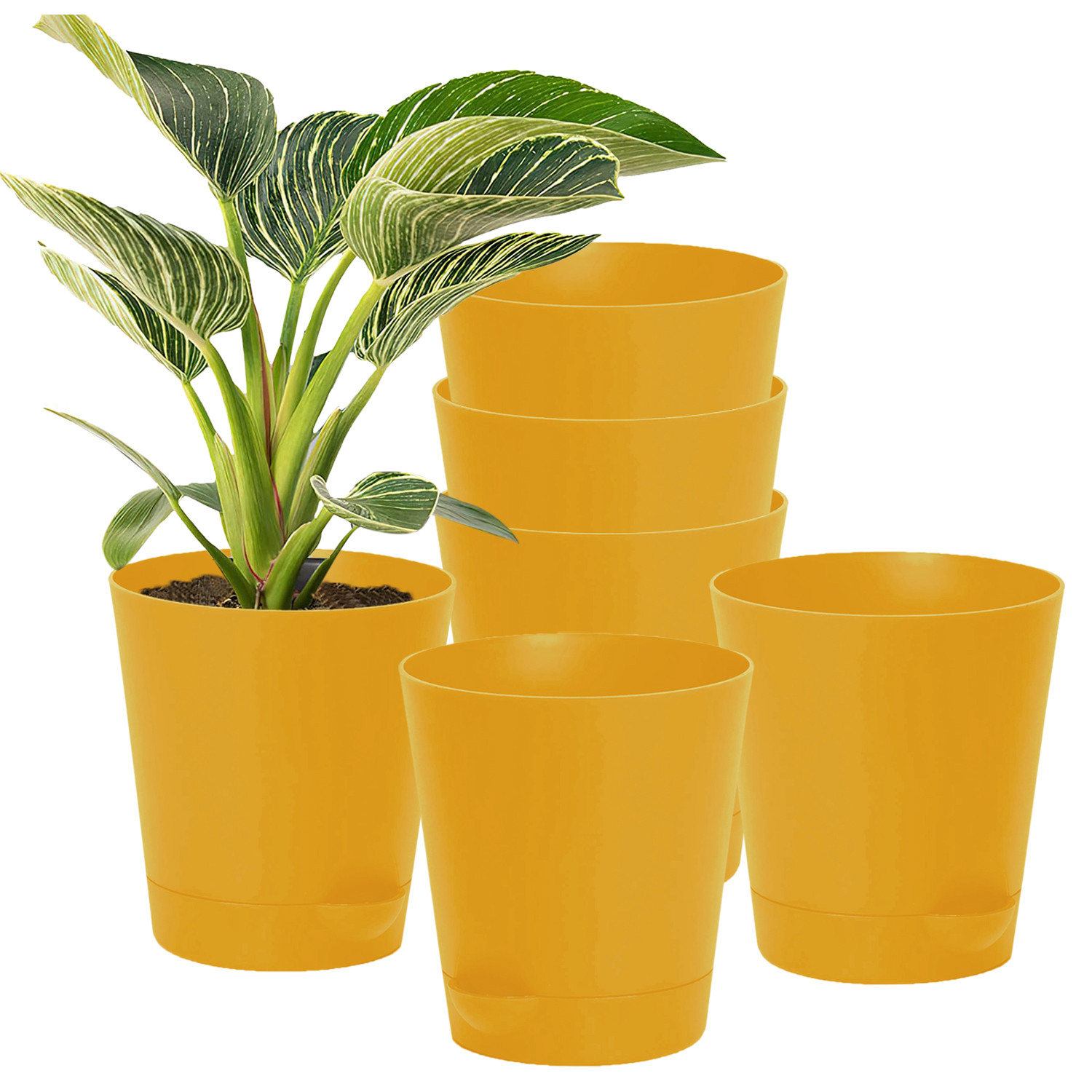 Kuber Industries Plastic Titan Pot|Garden Container For Plants & Flowers|Self-Watering Pot With Drainage Holes,6 Inch (Yellow)