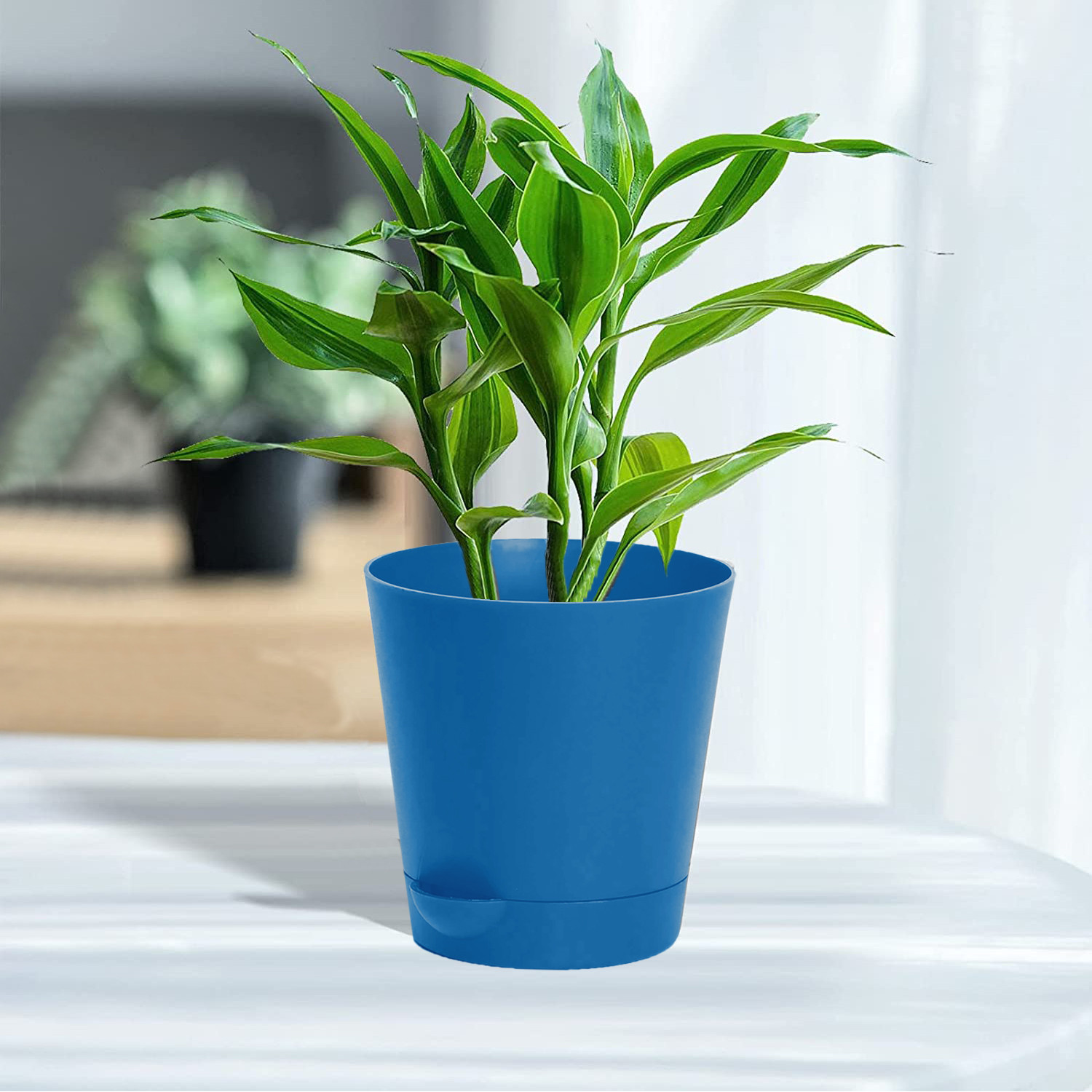 Kuber Industries Plastic Titan Pot|Garden Container For Plants & Flowers|Self-Watering Pot With Drainage Holes,6 Inch (Blue)
