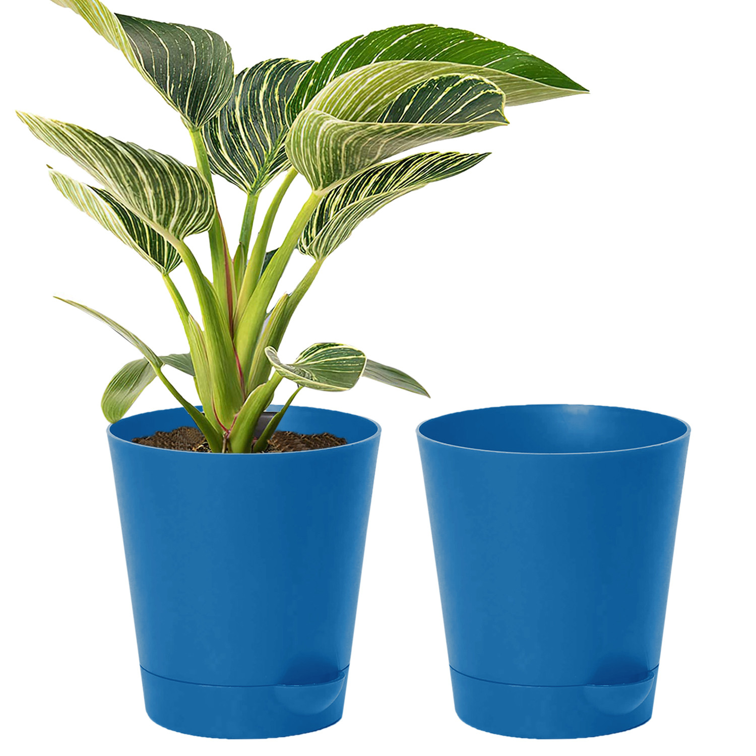 Kuber Industries Plastic Titan Pot|Garden Container For Plants & Flowers|Self-Watering Pot With Drainage Holes,6 Inch (Blue)