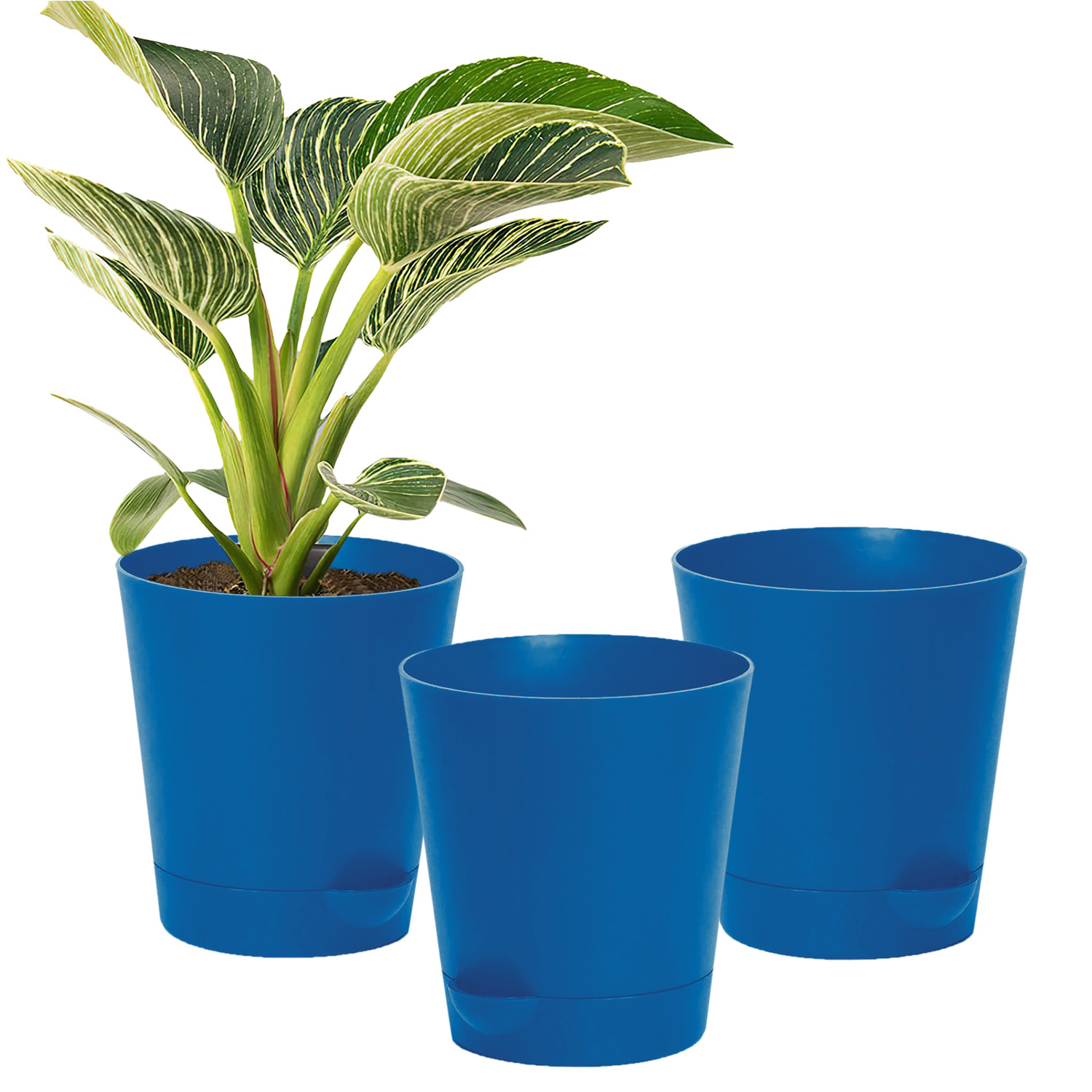 Kuber Industries Plastic Titan Pot|Garden Container For Plants & Flowers|Self-Watering Pot With Drainage Holes,6 Inch (Blue)