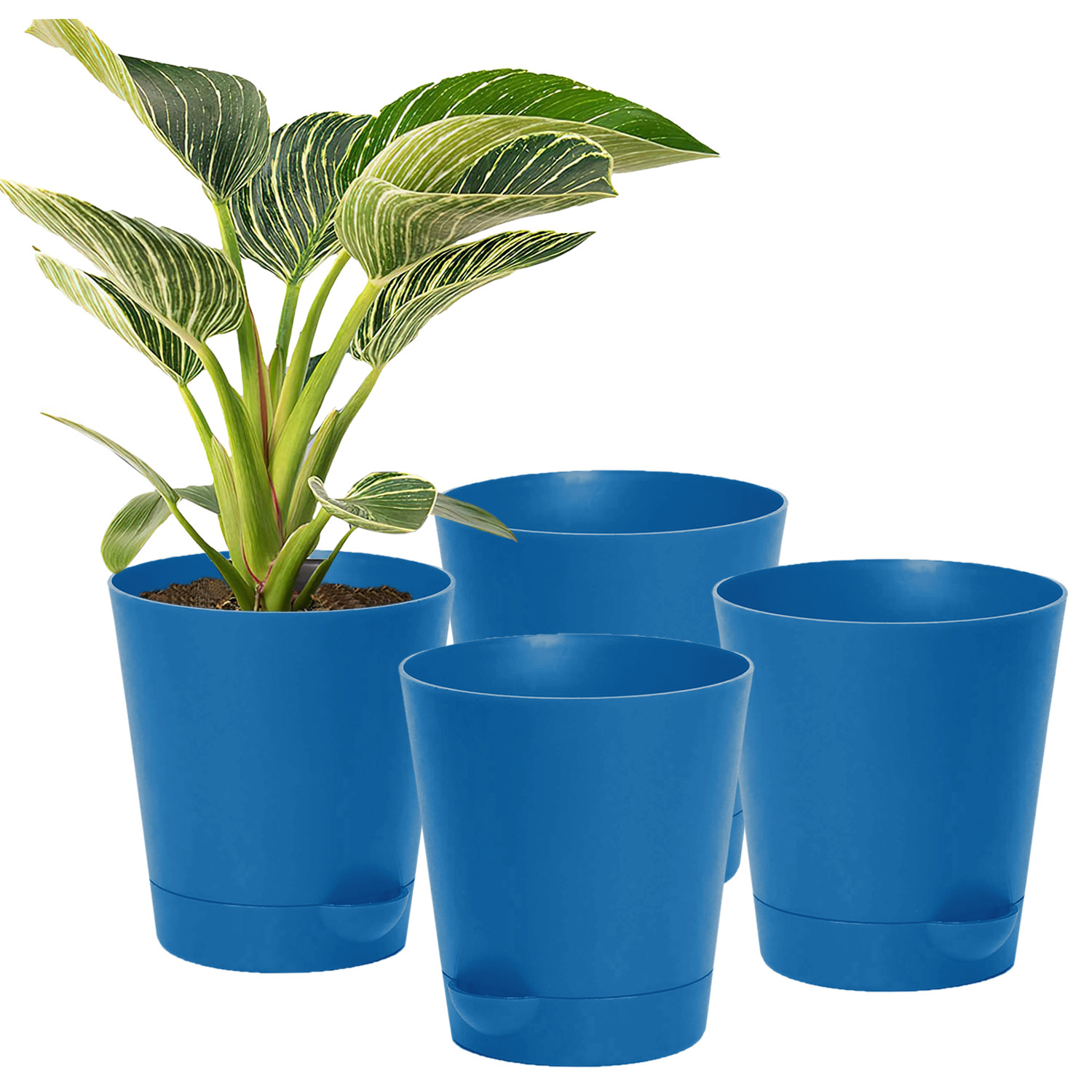 Kuber Industries Plastic Titan Pot|Garden Container For Plants & Flowers|Self-Watering Pot With Drainage Holes,6 Inch (Blue)