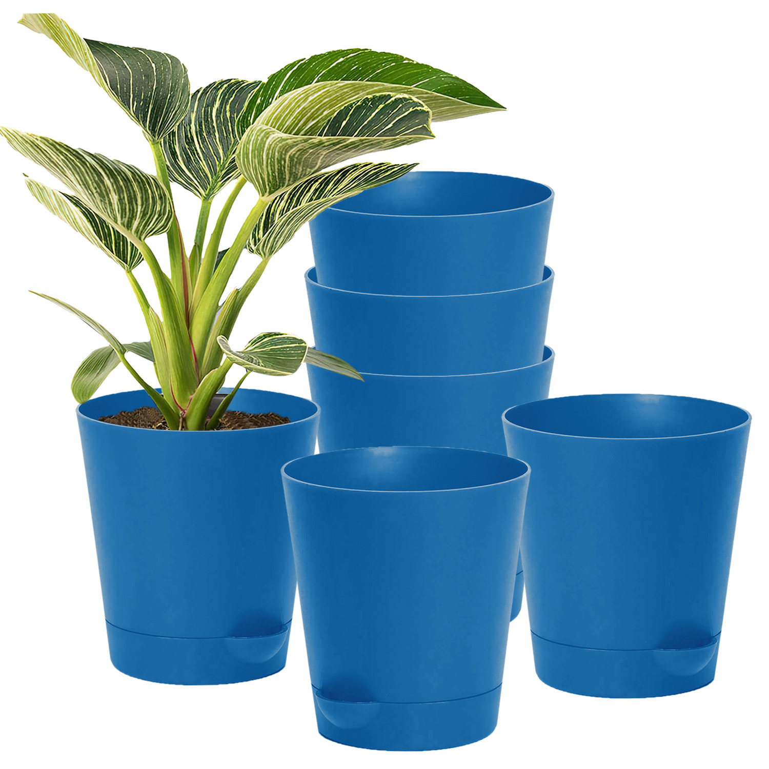 Kuber Industries Plastic Titan Pot|Garden Container For Plants & Flowers|Self-Watering Pot With Drainage Holes,6 Inch (Blue)