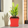 Premium Flower Pots for Garden with Bottom Plates | Weather-proof Plant Pot with Tray | Indoor &amp; Outdoor Gamla for Plants | Tulasi Planters for Home Decor | Red