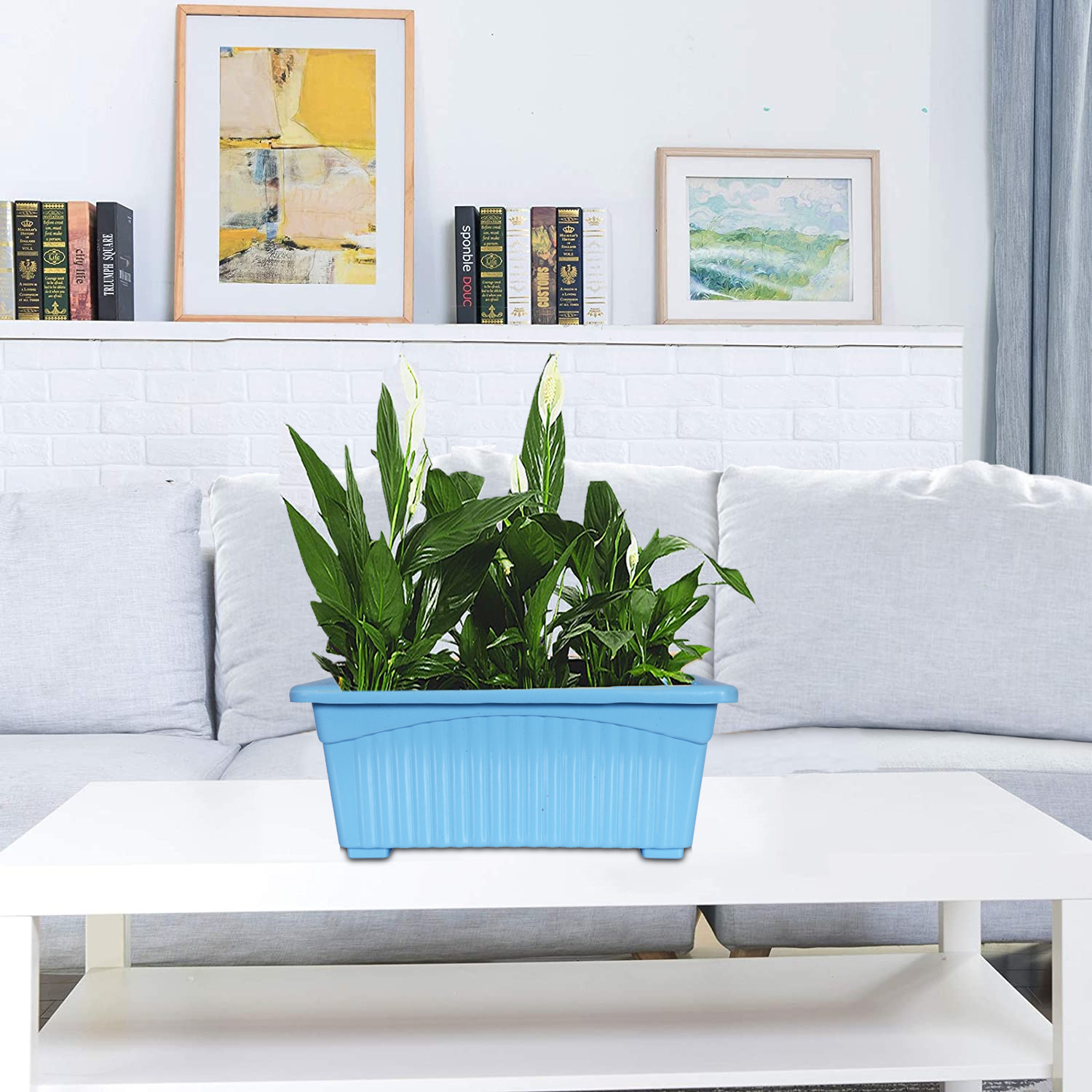 Kuber Industries Rectangular Jupiter Plastic Window Pot|Flower Planter for Home & Balcony,Garden 14 Inches (Sky Blue)