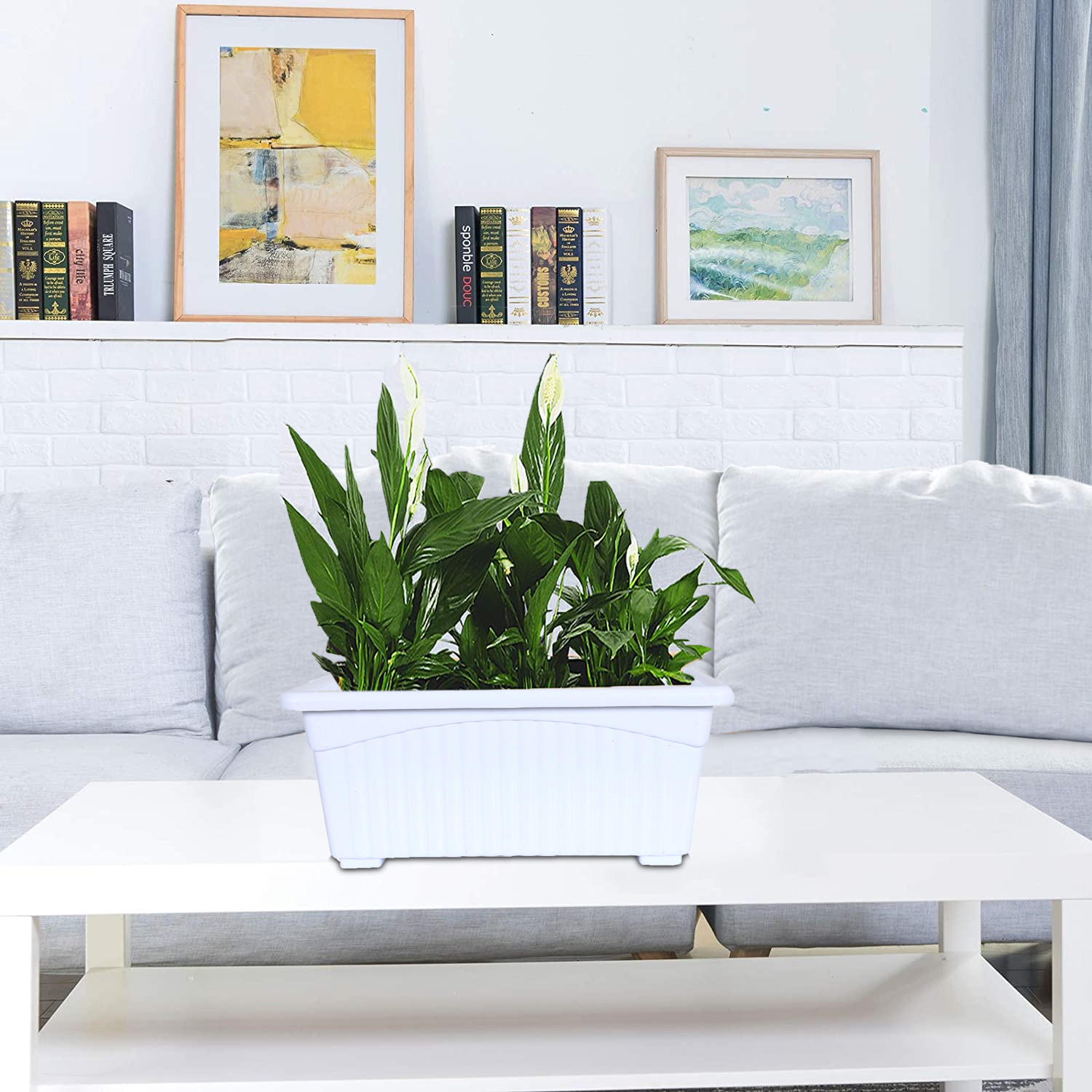Kuber Industries Rectangular Jupiter Plastic Window Pot|Flower Planter for Home & Balcony,Garden 14 Inches(White)