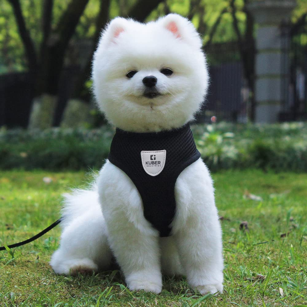 Kuber Industries Small Dog/Cat Chest Harness with Nylon Leash I No Pull, Soft Padded and Breathable Pet Vest I Adjustable, Reflective I Easy Control Pet Chest Belt I (Small, Black)