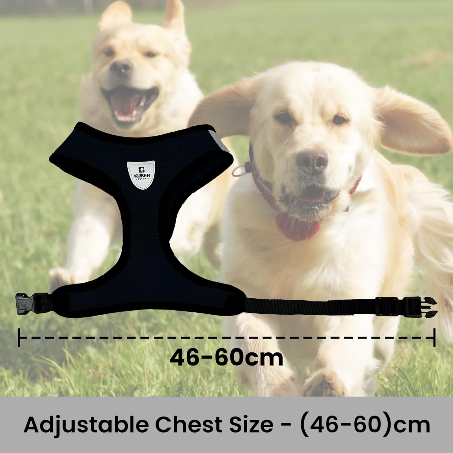 Kuber Industries Small Dog/Cat Chest Harness with Nylon Leash I No Pull, Soft Padded and Breathable Pet Vest I Adjustable, Reflective I Easy Control Pet Chest Belt I (Small, Black)