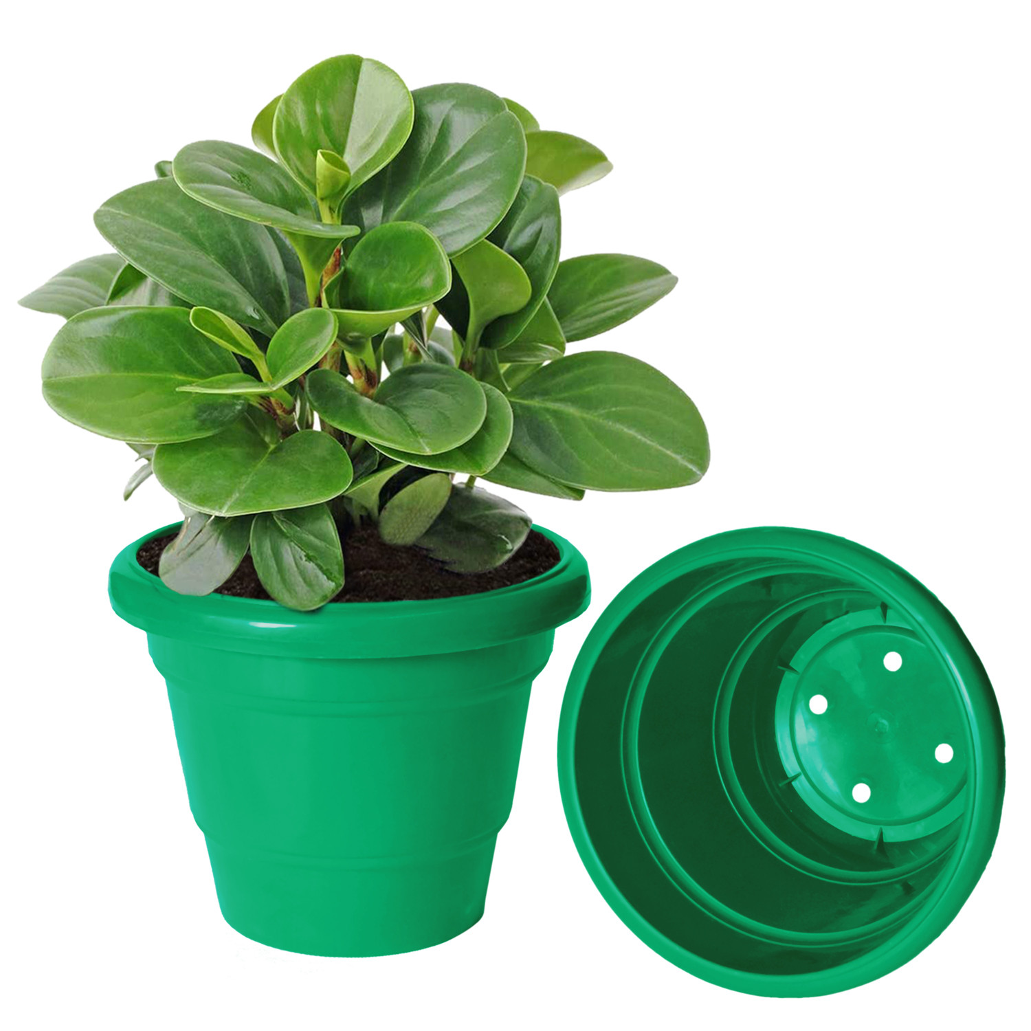 Kuber Industries Solid 2 Layered Plastic Flower Pot|Gamla For Home Decor,Nursery,Balcony,Garden,6