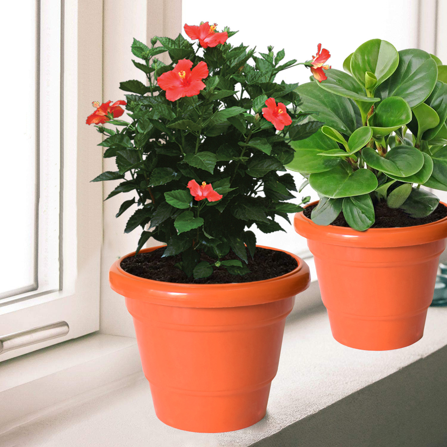 Kuber Industries Solid 2 Layered Plastic Flower Pot|Gamla For Home Decor,Nursery,Balcony,Garden,6