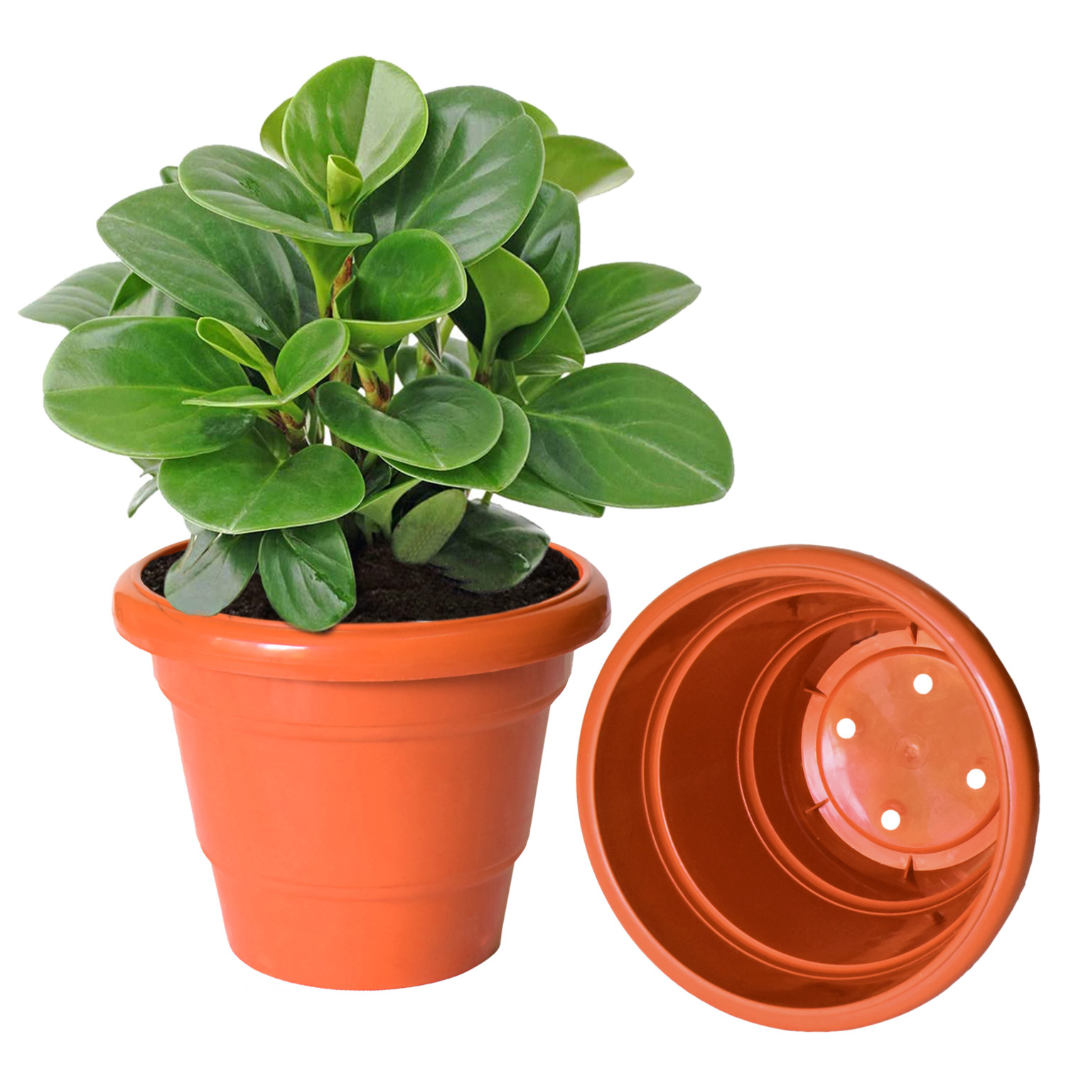 Kuber Industries Solid 2 Layered Plastic Flower Pot|Gamla For Home Decor,Nursery,Balcony,Garden,6