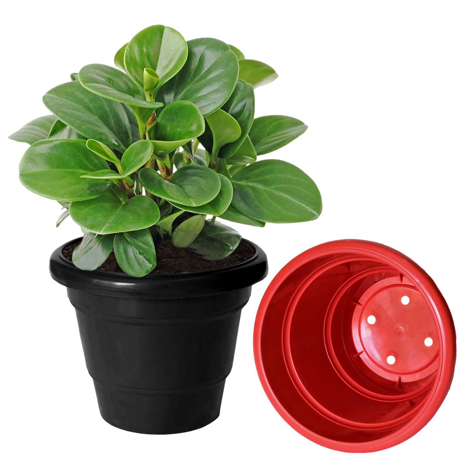 Kuber Industries Solid 2 Layered Plastic Flower Pot|Gamla For Home Decor,Nursery,Balcony,Garden,6