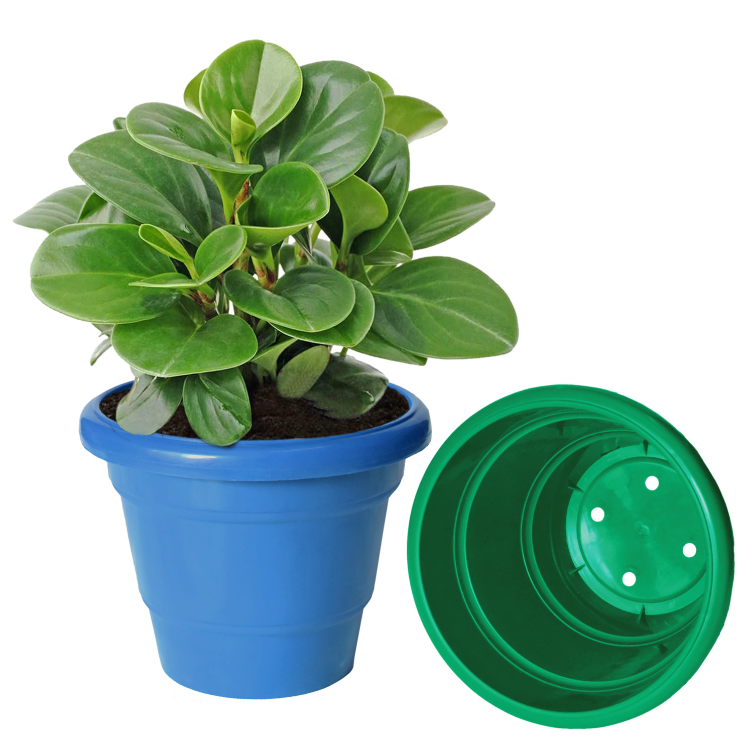 Kuber Industries Solid 2 Layered Plastic Flower Pot|Gamla For Home Decor,Nursery,Balcony,Garden,6