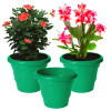 Kuber Industries Solid 2 Layered Plastic Flower Pot|Gamla For Home Decor,Nursery,Balcony,Garden,8&quot;x 6&quot;,(Green)