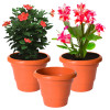 Kuber Industries Solid 2 Layered Plastic Flower Pot|Gamla For Home Decor,Nursery,Balcony,Garden,8&quot;x 6&quot;,(Orange)