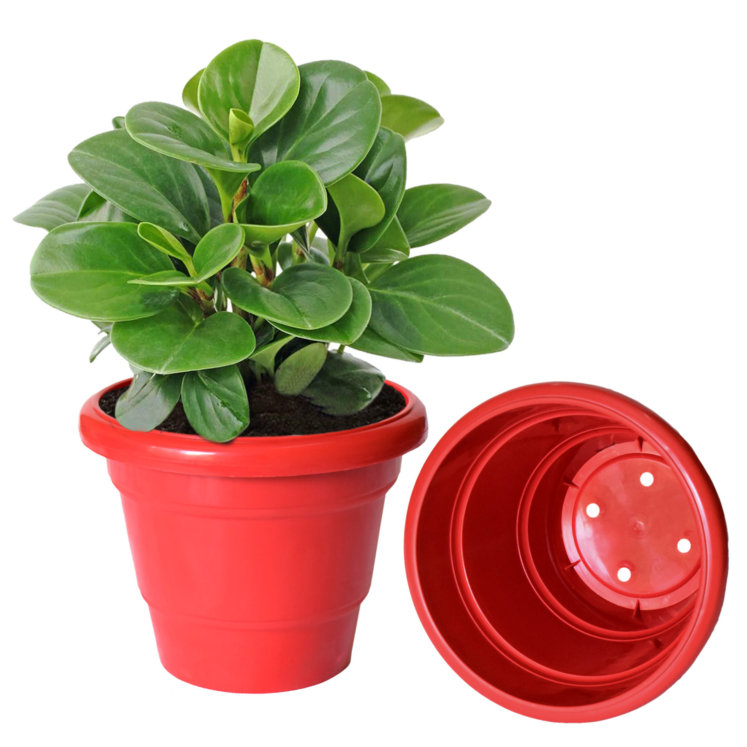 Kuber Industries Solid 2 Layered Plastic Flower Pot|Gamla For Home Decor,Nursery,Balcony,Garden,8