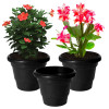 Kuber Industries Solid 2 Layered Plastic Flower Pot|Gamla For Home Decor,Nursery,Balcony,Garden,8&quot;x 6&quot;,(Black)