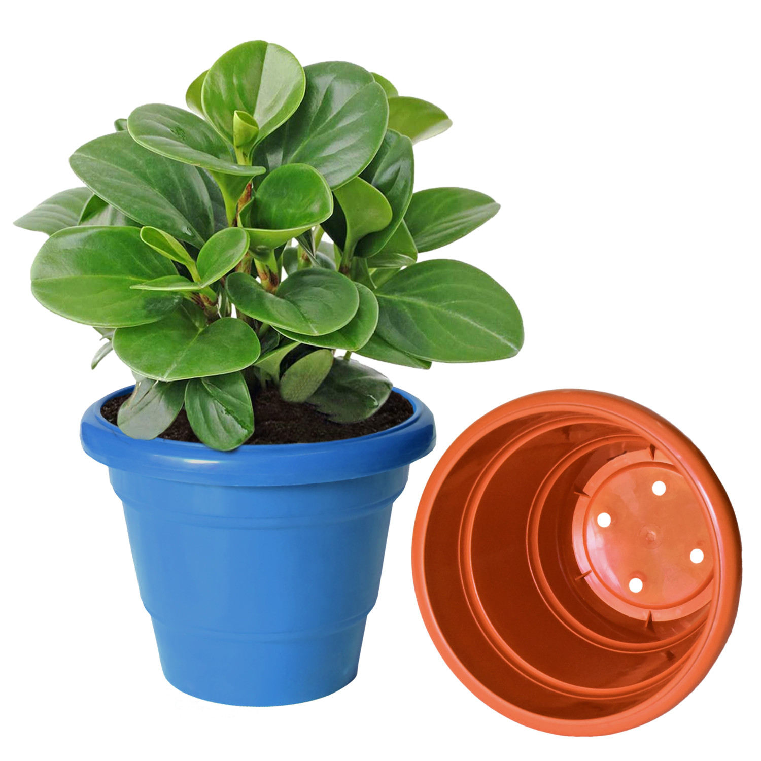 Kuber Industries Solid 2 Layered Plastic Flower Pot|Gamla For Home Decor,Nursery,Balcony,Garden,8