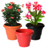 Kuber Industries Solid 2 Layered Plastic Flower Pot|Gamla For Home Decor,Nursery,Balcony,Garden,8&quot;x 6&quot;,Pack of 3 (Red &amp; Black &amp; Orange)