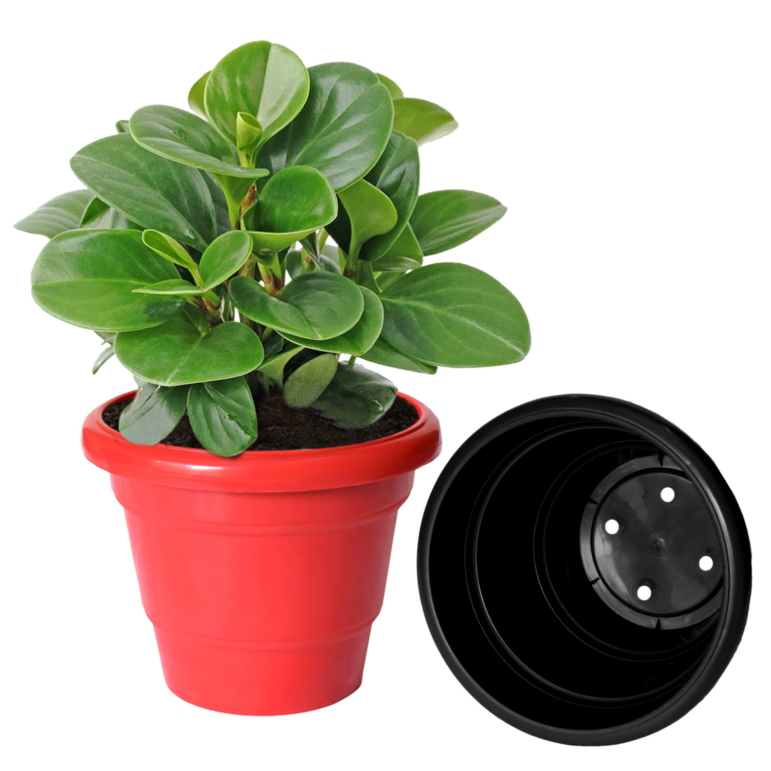 Kuber Industries Solid 2 Layered Plastic Flower Pot|Gamla For Home Decor,Nursery,Balcony,Garden,8