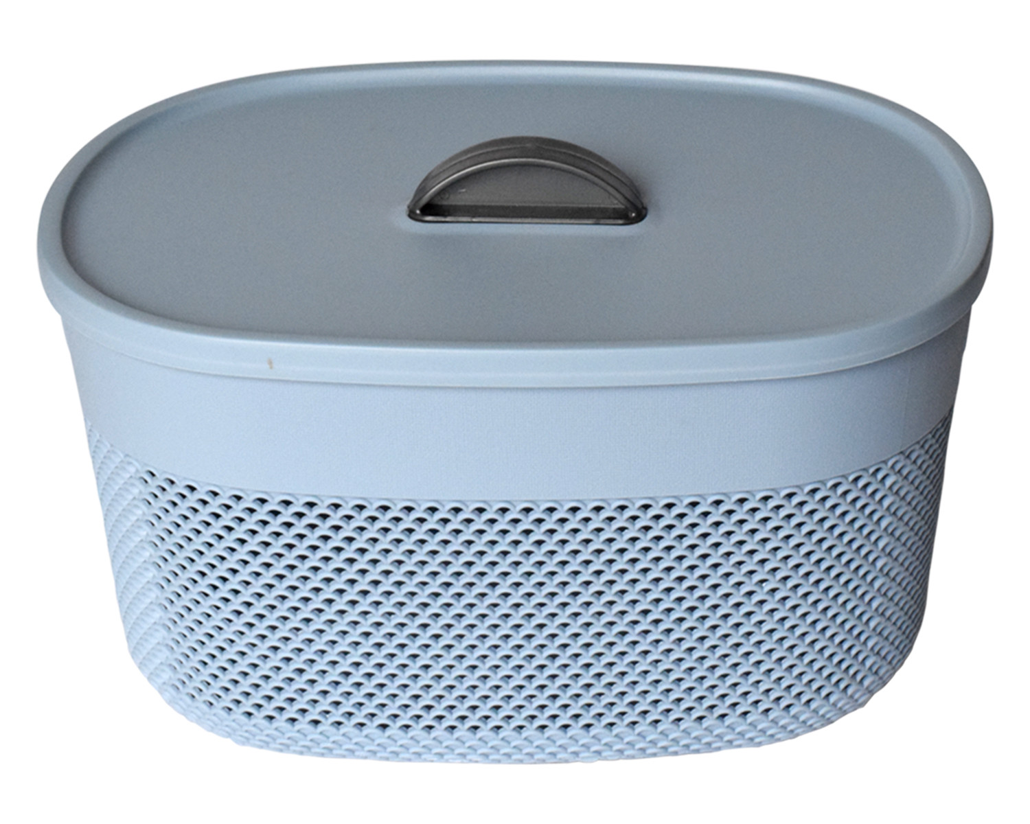 Kuber Industries Unbreakable Large Multipurpose Storage Baskets with lid|Design-Netted|Material-Plastic|Shape-Oval|Color-Sky Blue