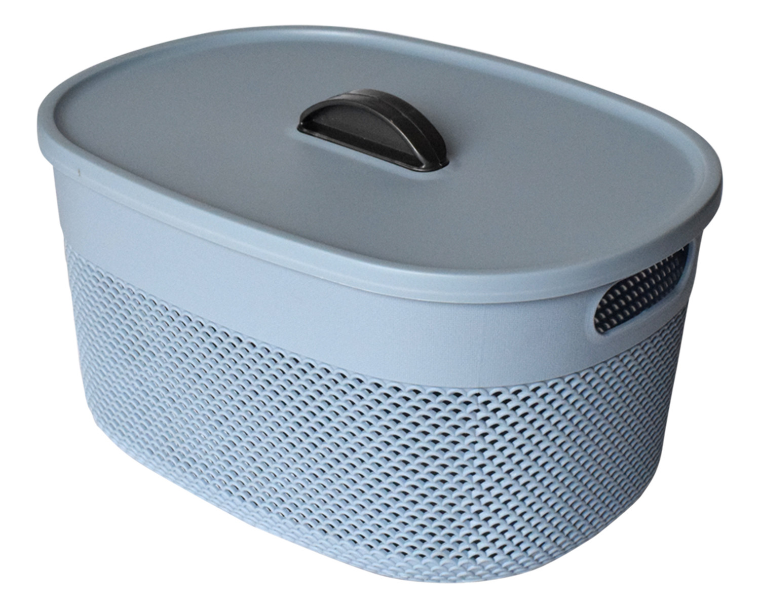 Kuber Industries Unbreakable Large Multipurpose Storage Baskets with lid|Design-Netted|Material-Plastic|Shape-Oval|Color-Sky Blue